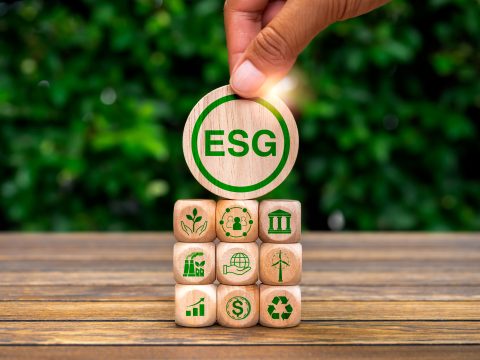 Environmental, social, and corporate governance (ESG)